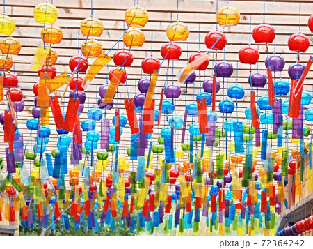 箱館山コキアパークの風景 箱館山コキアパークの風景 72364242