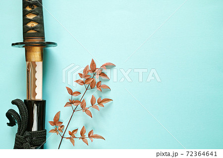 青い紙の背景の左に置いた抜きかけの日本刀と赤い葉の木の枝 右側半分がコピースペース の写真素材