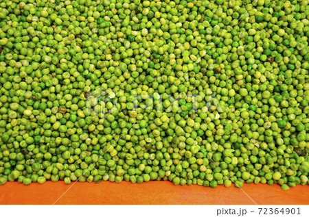 green pea on orange table background green pea on orange table background 72364901