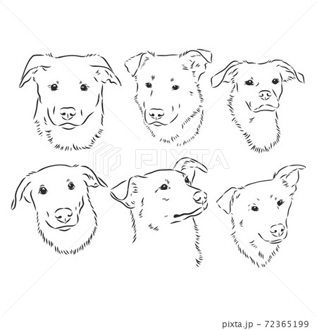 Sketch of funny dog. vector illustration. portrait of a dog vector sketch illustration 72365199