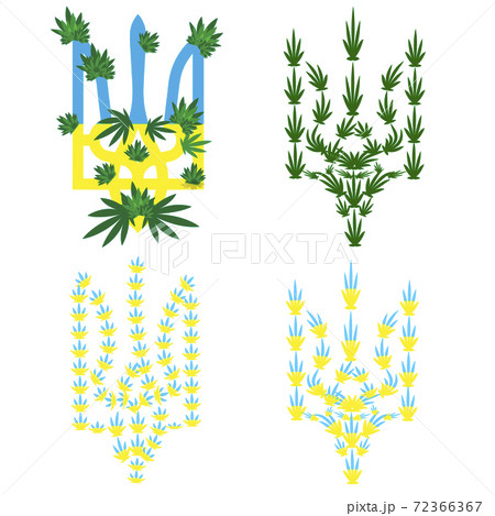 emblem of Ukraine on which cannabis leaves and inflorescences are pasted. emblem of Ukraine on which cannabis leaves and inflorescences are pasted. 72366367