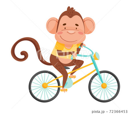 Joyful Monkey with Long Tail Riding Bicycle Vector Illustration 72366453