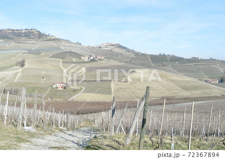 バローロのワイン畑 72367894