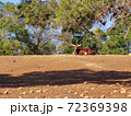 the bull sits next to birds. High quality photo 72369398
