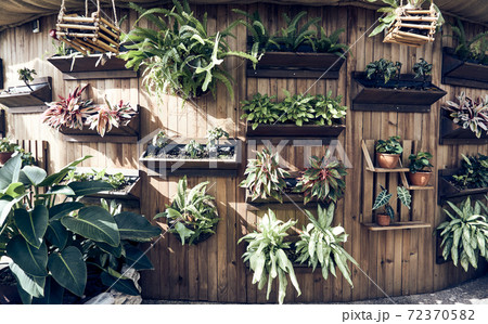 Wooden flower pots mounted on the wall 72370582