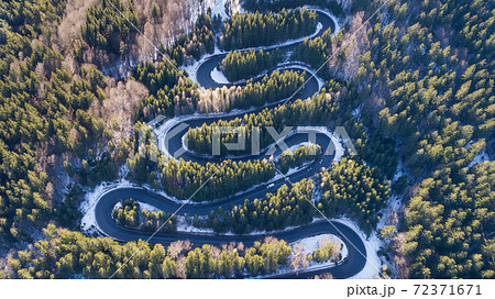 curved road trough the forest curved road trough the forest 72371671