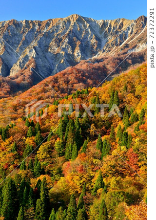 大山の紅葉 72372291