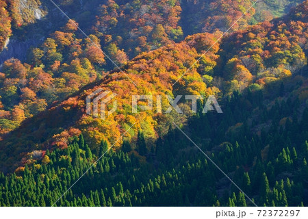 大山の紅葉 大山の紅葉 72372297