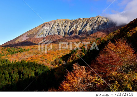 大山の紅葉 72372319
