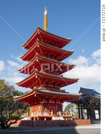 願昭寺の五重塔 願昭寺の五重塔 72372719