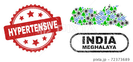 Hypertensive Textured Seal and Meghalaya State Map Collage of Covid-2019 New Year 72373689