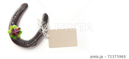 Horseshoe with lucky clover on a white background 72373968