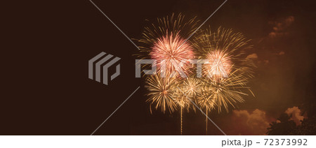 Abstract colored firework on dark sky. Celebration and anniversary concept Abstract colored firework on dark sky. Celebration and anniversary concept 72373992