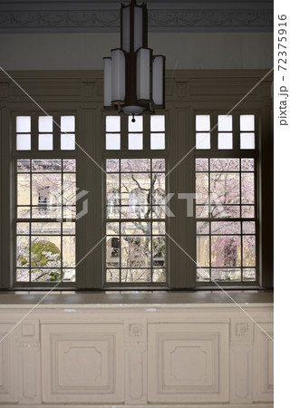 京都府庁旧本館 桜 京都府庁旧本館 桜 72375916