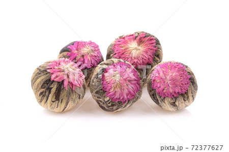 Tea flowers on white background Tea flowers on white background 72377627