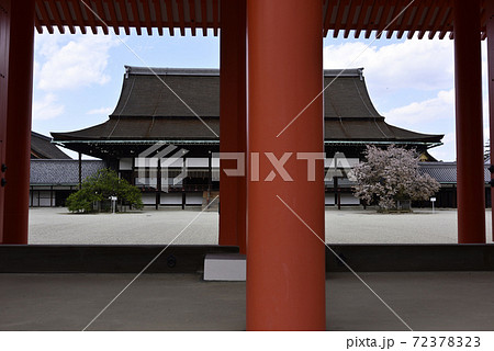 京都御所 承明門の春 京都御所 承明門の春 72378323