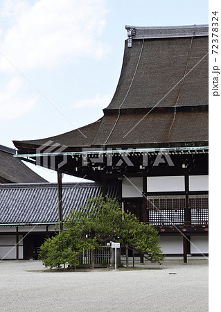 京都御所　紫宸殿　右近の橘 72378324
