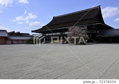 京都御所 紫宸殿の春 京都御所 紫宸殿の春 72378334