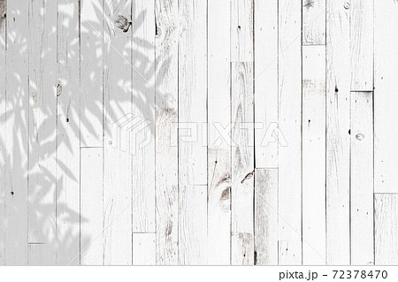 木の陰が落ちる白い木目の壁の写真素材