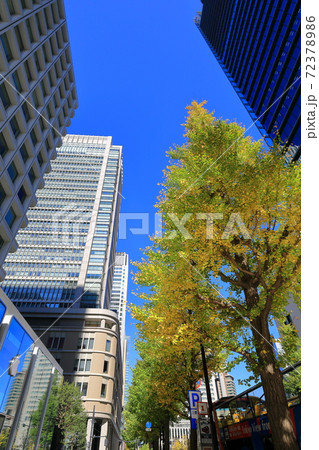 東京散歩　秋の丸の内周辺 72378986