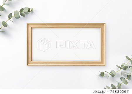 ユーカリ 植物の飾り 白背景 木枠のフレームの写真素材