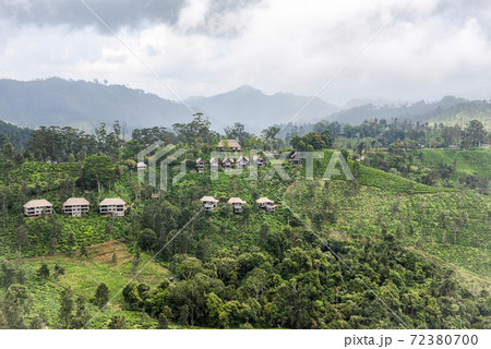 View of the mountain valley and houses among forest and tea plantations on the island of Sri Lanka 72380700