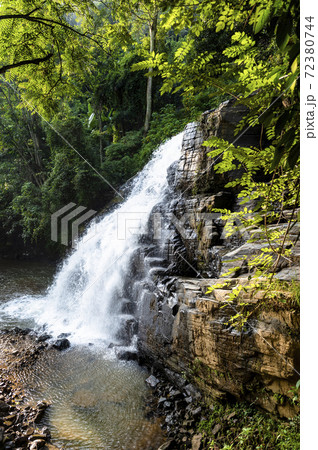 Waterfall in the jungle on the island of Sri Lanka Waterfall in the jungle on the island of Sri Lanka 72380744