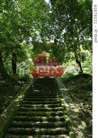 岩船山 高勝寺三重の塔と参道石段にアジサイの花 岩船山 高勝寺三重の塔と参道石段にアジサイの花 72381959