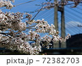 木次の桜 72382703
