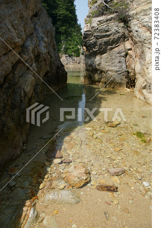 鳥取　四季の散歩　春　城原海岸 72383408