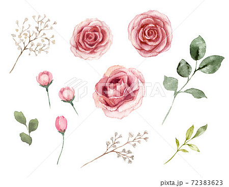 薔薇の花と葉っぱの素材 水彩イラストのイラスト素材