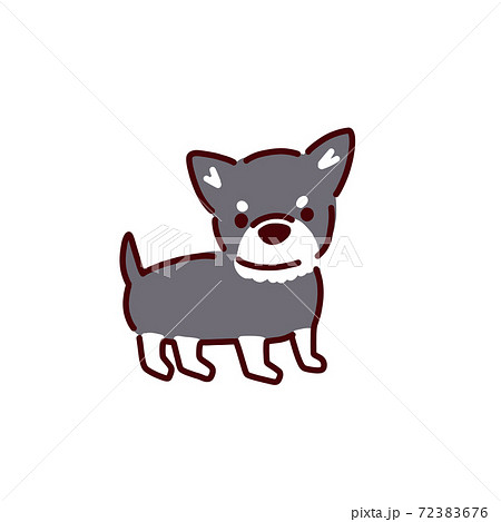 犬シリーズ かわいい黒チワワのイラストのイラスト素材