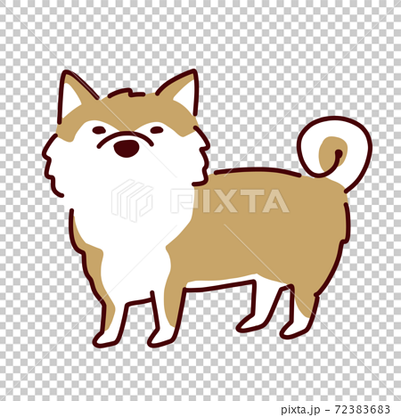 犬シリーズ かわいい秋田犬のイラストのイラスト素材 7236