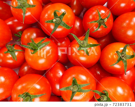 トマト ミニトマト トマト ミニトマト 72383731