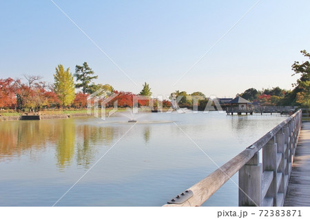 長岡天満宮　八条ヶ池と秋の紅葉 72383871