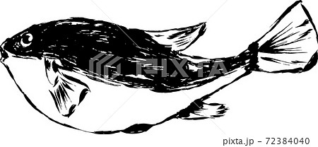 墨で描いたアートなフグのイラストのイラスト素材