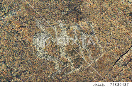 Petroglyphs in Karelia, Belomorsk district, Russia. 72386487