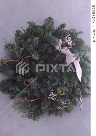 モミのリース 72386910