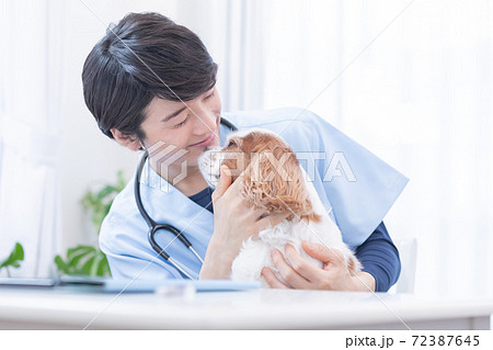 犬（キャバリア）と獣医のポートレート 72387645