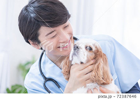 犬（キャバリア）と獣医のポートレート 72387646