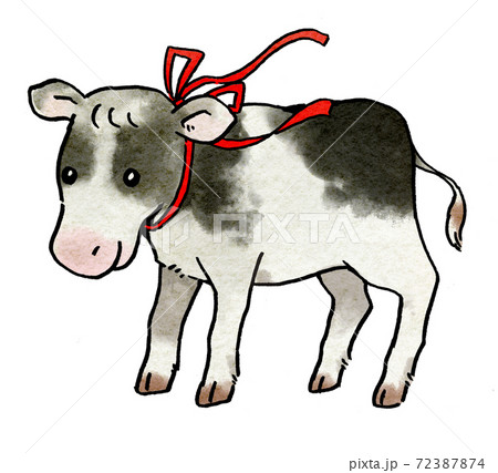 仔牛の手描きイラスト　ガーリーナチュラル水彩タッチ 72387874