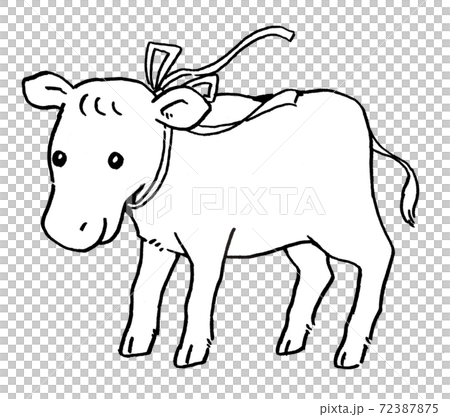 小牛手繪插圖線條畫白石 72387875