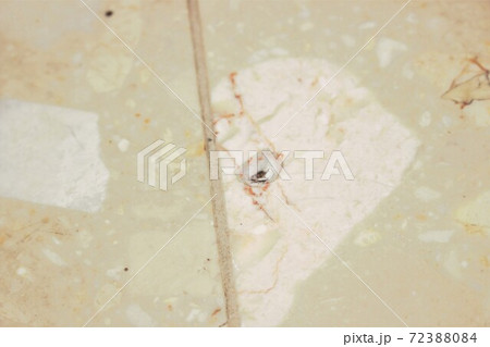 玄関の床 72388084