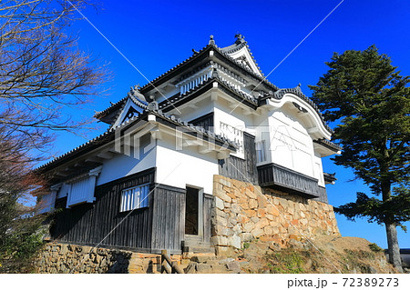 【岡山県】快晴下の備中松山城 72389273