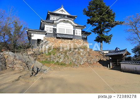 【岡山県】快晴下の備中松山城 72389278