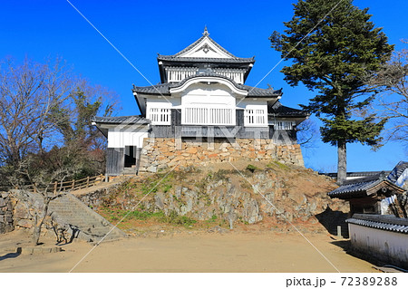 【岡山県】快晴下の備中松山城 72389288