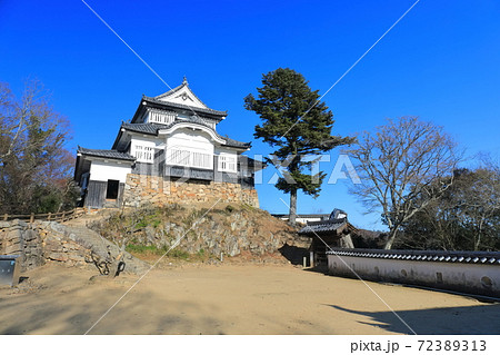 【岡山県】快晴下の備中松山城 72389313