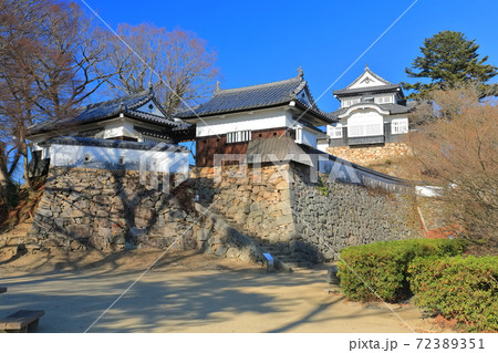 【岡山県】快晴下の備中松山城 72389351