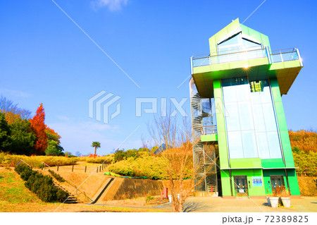 愛知県長久手の愛・地球博記念公園（モリコロパーク）の風景、アイススケート、自然、公園【12月】 72389825