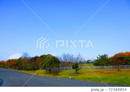 愛知県長久手の愛・地球博記念公園(モリコロパーク)の風景、アイススケート、自然、公園【12月】 愛知県長久手の愛・地球博記念公園(モリコロパーク)の風景、アイススケート、自然、公園【12月】 72389854